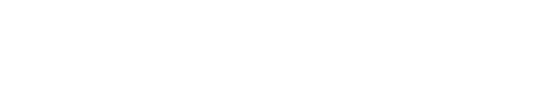 LH-VIRTUAL